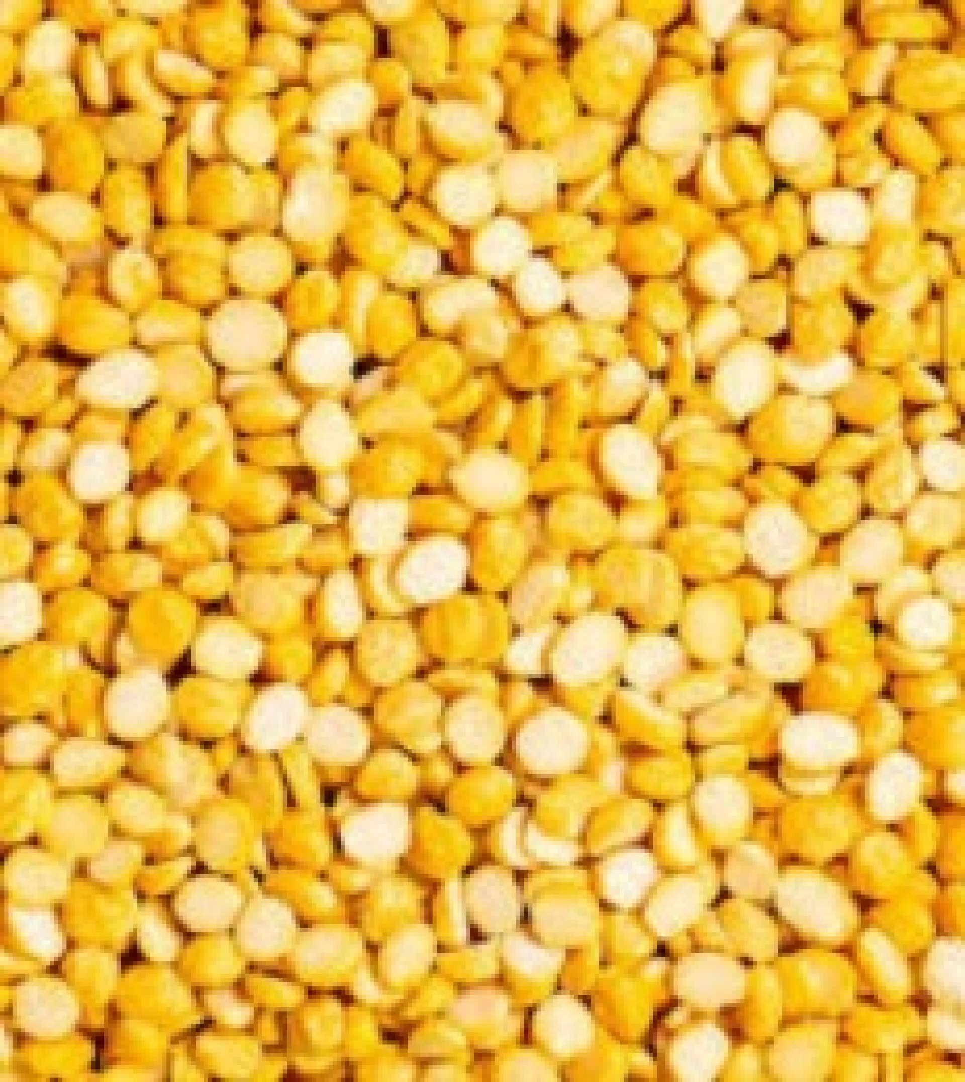 Chana dal