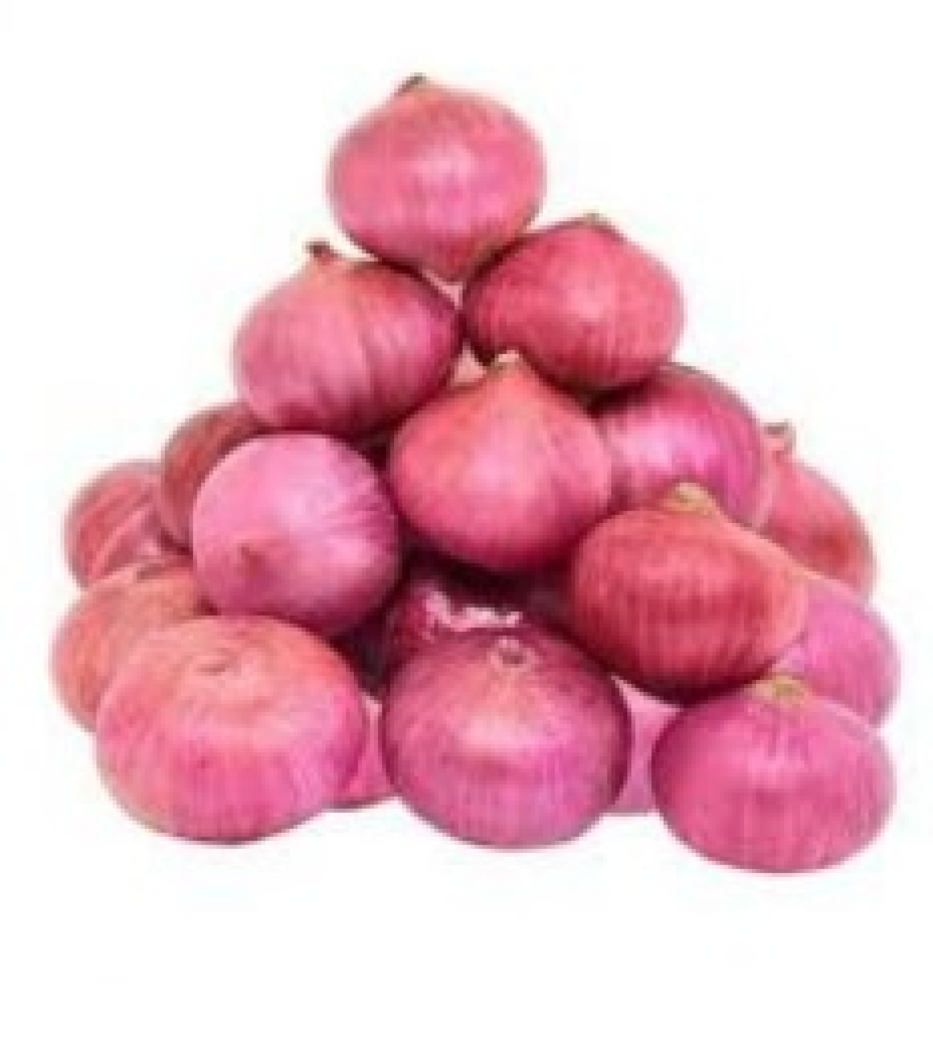 Onion